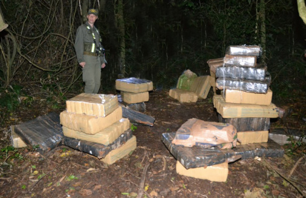 Gendarmería secuestró 1 tonelada de marihuana oculta en el monte misionero 1
