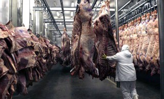 Para contener el precio de la carne vacuna, suspenden por 30 días las exportaciones