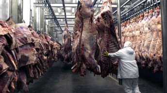 China habilita la exportación argentina de carnes con hueso