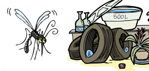 Dengue: afirman que, además de la vacuna, “lo más efectivo es el control del mosquito”