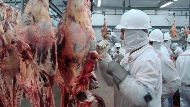 La Unión Europea aprobó la importación de carne fresca del Chaco