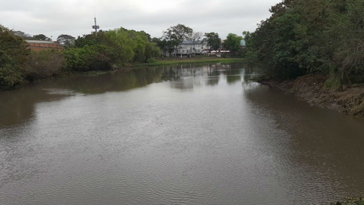La APA finalizó los trabajos de limpieza del Rio Negro en el puente San Fernando