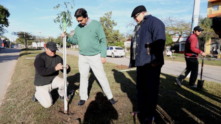 El Municipio ya implantó 2.250 árboles en lo que va del año
