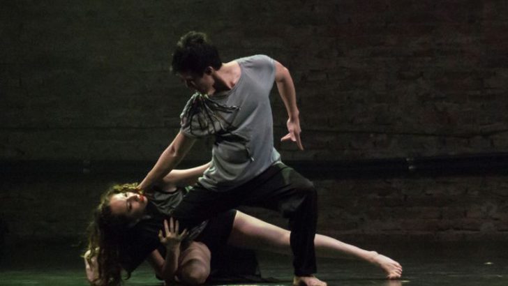 Con Intro y Rizoma, el Ballet Contemporáneo cierra el 2016