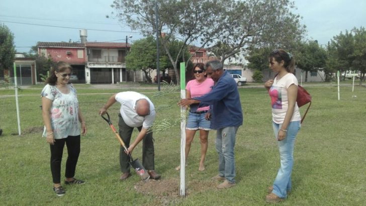 Arbolado urbano: Municipio y vecinos plantaron chivatos en la plaza 1 de Octubre