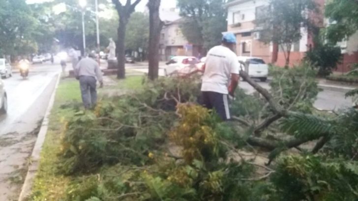 Tras la fuerte tormenta, el Municipio atendió los pedidos de los vecinos