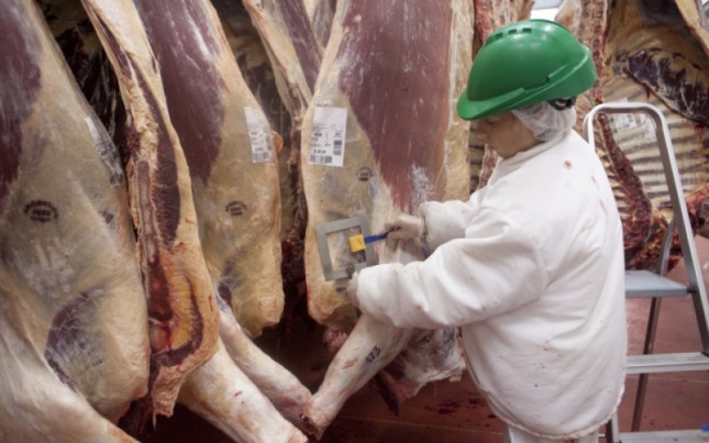 Aplican un “programa de vigilancia” a la importación de carne brasileña