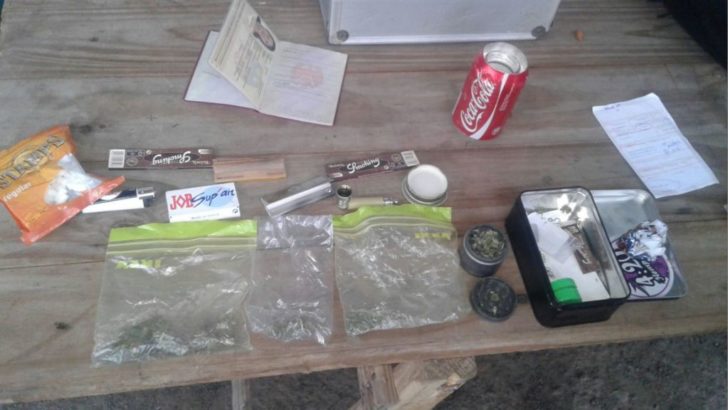 La Caminera, Gendarmería y Drogas Peligrosas secuestraron 36 gramos de marihuana
