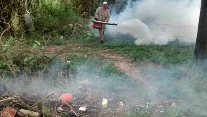 Se registraron nuevos casos zika y dengue en la provincia
