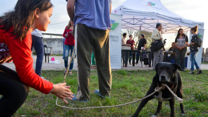 Se concretó una campaña de vacunación de perros y gatos en el barrio General Obligado