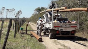 Pampa Almirón y Plaza: tras la tormenta, Secheep desarrolla intensos trabajos en la red eléctrica
