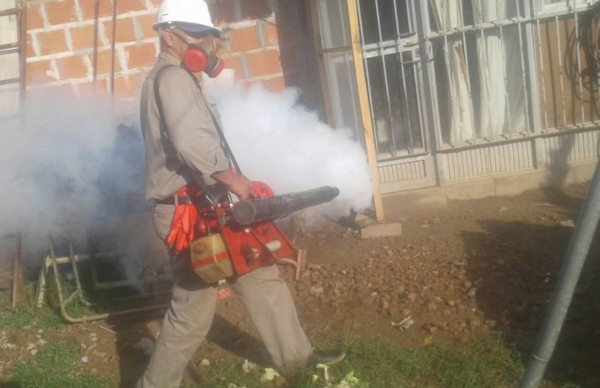 Salud Pública confirmó que se registraron dos casos de dengue en Resistencia