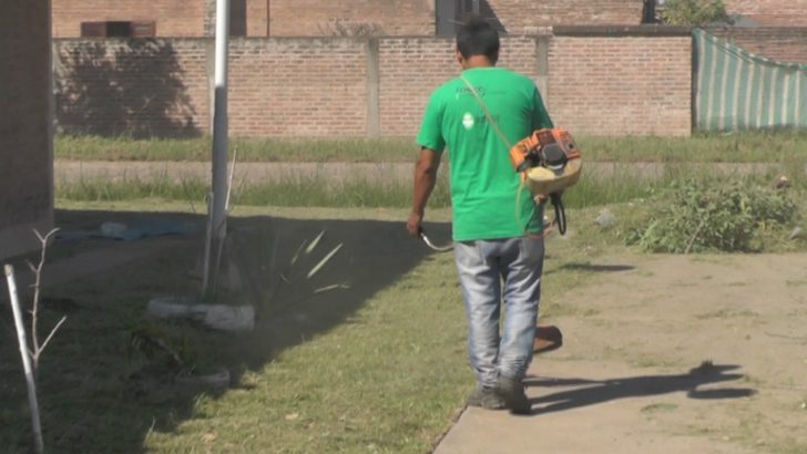 Carpincho Macho: Equipo Hábitat dejó libre de malezas y limpia la escuela N° 1067