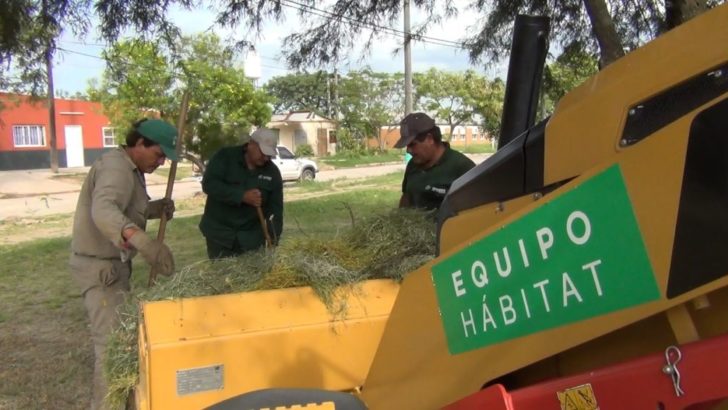 Limpiaron espacios públicos de Villa Marín para preservar el ambiente