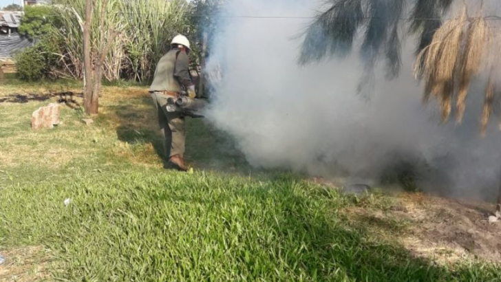 Dengue: ante los casos registrados intensifican las acciones de prevención