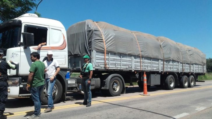 Picudo algodonero: los controles de encarpado total de transportes continuarán hasta junio
