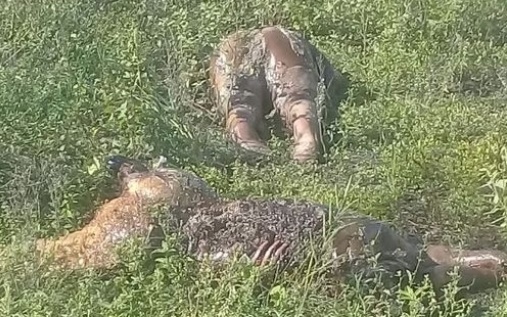 Quitilipi: hallaron dos cadáveres en descomposición y comidos por cuervos