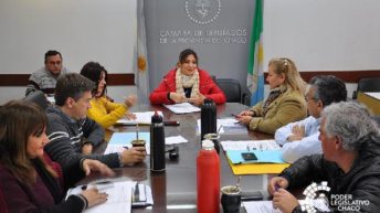 Asuntos Municipales continuará analizando la recategorización de Pampa del Infierno
