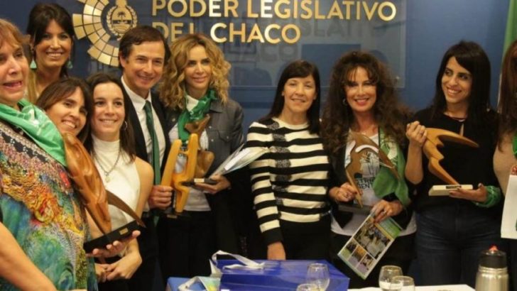 La Legislatura recibió a diputados nacionales y actrices a favor de la despenalización del aborto