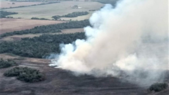 Producción: técnicos de bosques realizaron un monitoreo aéreo para detectar quema forestal