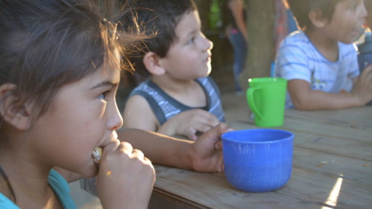 El Isepci presentó informe sobre malnutrición infantil en Chaco