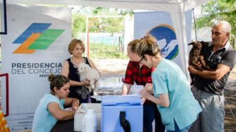 Concejo:  Protección Animal inició la campaña de vacunación gratuita en los barrios