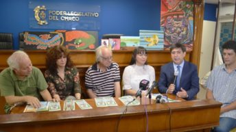 Martínez invita a la Feria de Arte Navideña con más de 100 artistas de Chaco y Corrientes