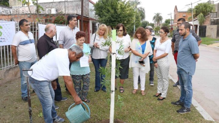 Villa Universidad: el intendente supervisó una nueva plantación de árboles