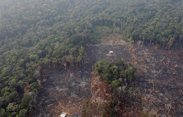 Amazonia en llamas: el G7 moviliza 20 millones de dólares para combatir el fuego