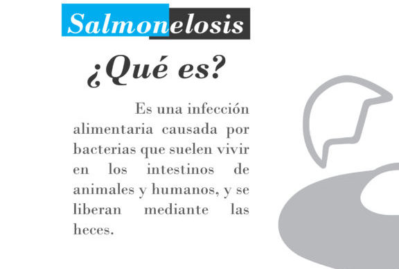 Salmonelosis: medidas tomar para prevenir esta enfermedad 1