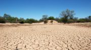 Sequía y producción: la grave situación agroclimática ante la expectativa puesta en las lluvias