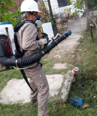 El gobierno extrema medidas de bloqueo de focos y eliminación de criaderos de mosquitos 1