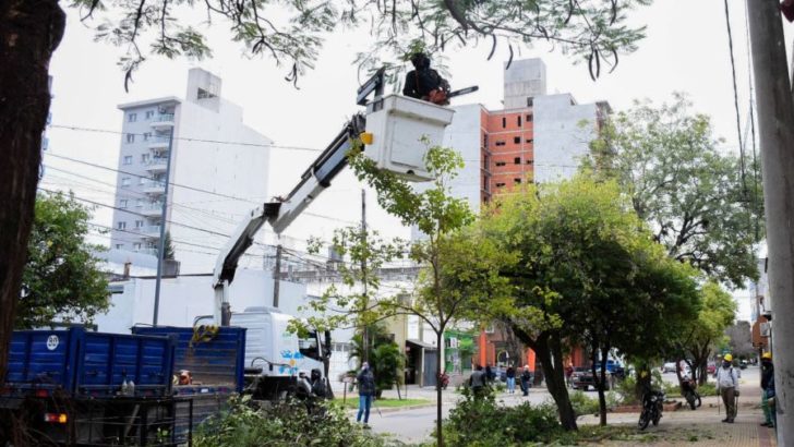 La Poda Responsable se extiende sobre la calle Liniers en la ciudad de Resistencia
