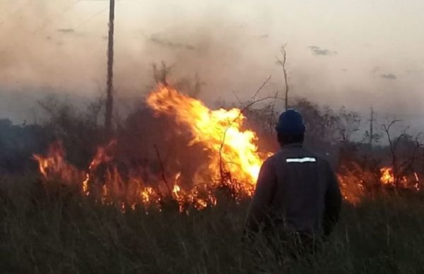 Incendios en zonas rurales dejaron a miles de usuarios sin servicio eléctrico y pérdidas millonarias 2