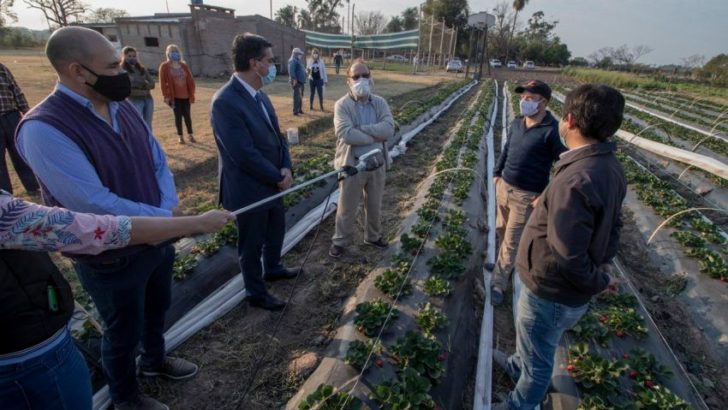 “La agroindustria será el símbolo de la recuperación económica del Chaco”
