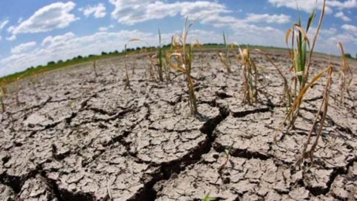 Sequía: asisten a los productores ante la crisis