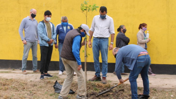 Resistencia: la comuna plantó 20 árboles en el predio de la Universidad del MIJD