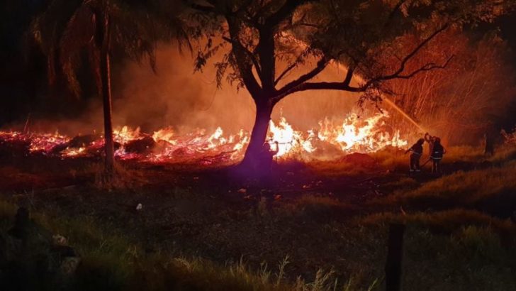 Un incendio rural afectó el Vivero Municipal de Resistencia: “es necesario tomar conciencia y analizar esta situación que se está tornando más problemática”