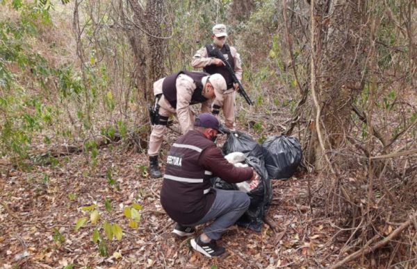 Prefectura secuestró casi 40 kilos de marihuana en Itatí