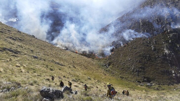 Incendios forestales: unas diez provincias continúan afectadas