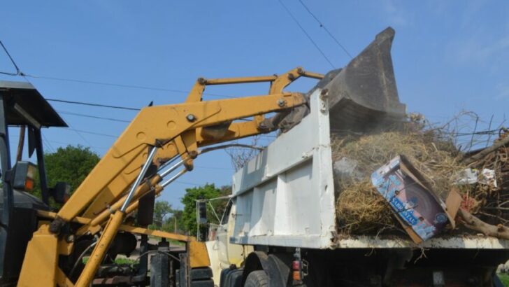 Barranqueras: Municipio informa cronograma de recolección de ramas en la ciudad