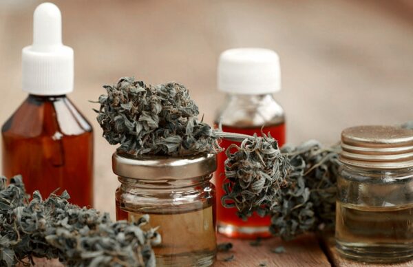 Está vigente la nueva reglamentación para facilitar el acceso al cannabis medicinal