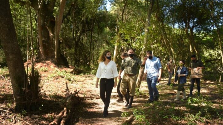 Reserva Monte Constanza: el Gobierno trabaja en el fortalecimiento institucional del parque