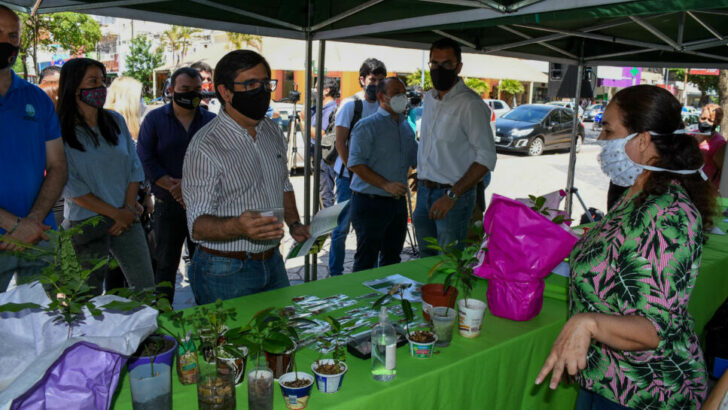 Resistencia: el Municipio recibió semillas y plantines buscando crear conciencia ambiental para el cuidado de las especies