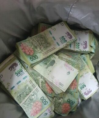 Lavado de activos: secuestran más de 13.000.000 pesos ocultos dentro de bolsos térmicos 3