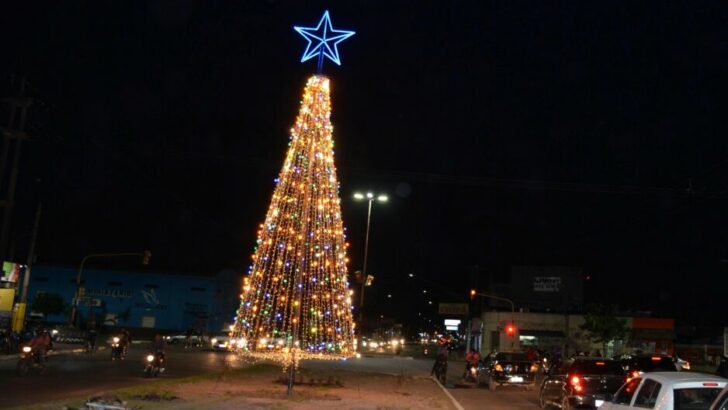 Resistencia: Gustavo Martínez inauguró un árbol de navidad en la zona oeste