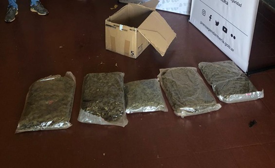 Secuestran más de 49 kilos de marihuana camuflados en encomiendas