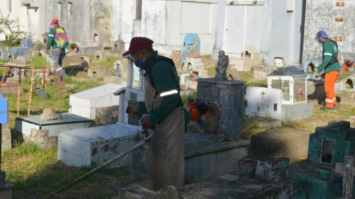 Cementerio San Francisco Solano: desarrollaron un operativo integral de limpieza, desmalezado y construcción de nichos