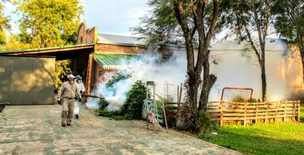 Dengue: Salud Pública desplegó acciones de prevención y control focal 2