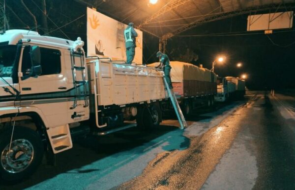 Evasión Tributaria: Gendarmería secuestró 58 toneladas de soja
